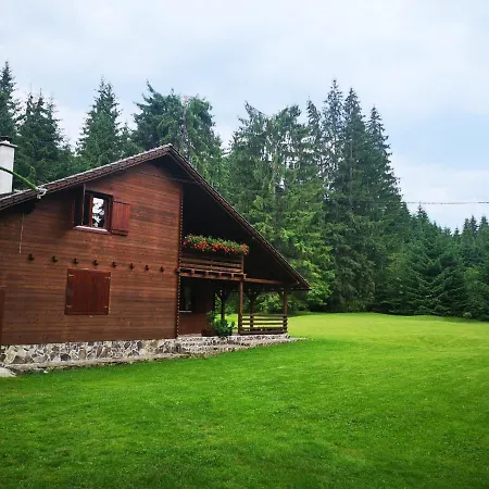 Casa De Vacanta Dintre Brazi Holiday home