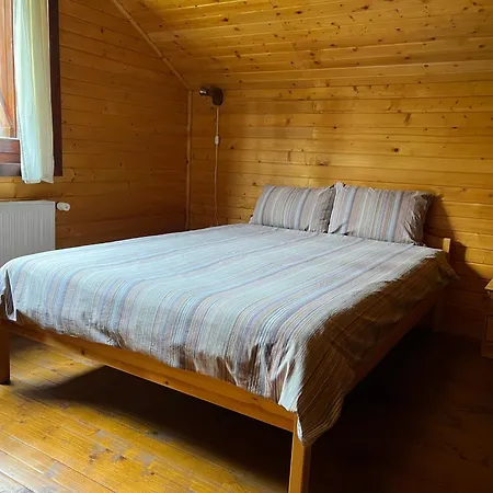 Casa De Vacanta Dintre Brazi Holiday home *
